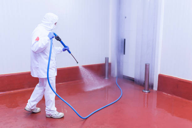 Best Heavy Equipment Washing  in Flanders, NY